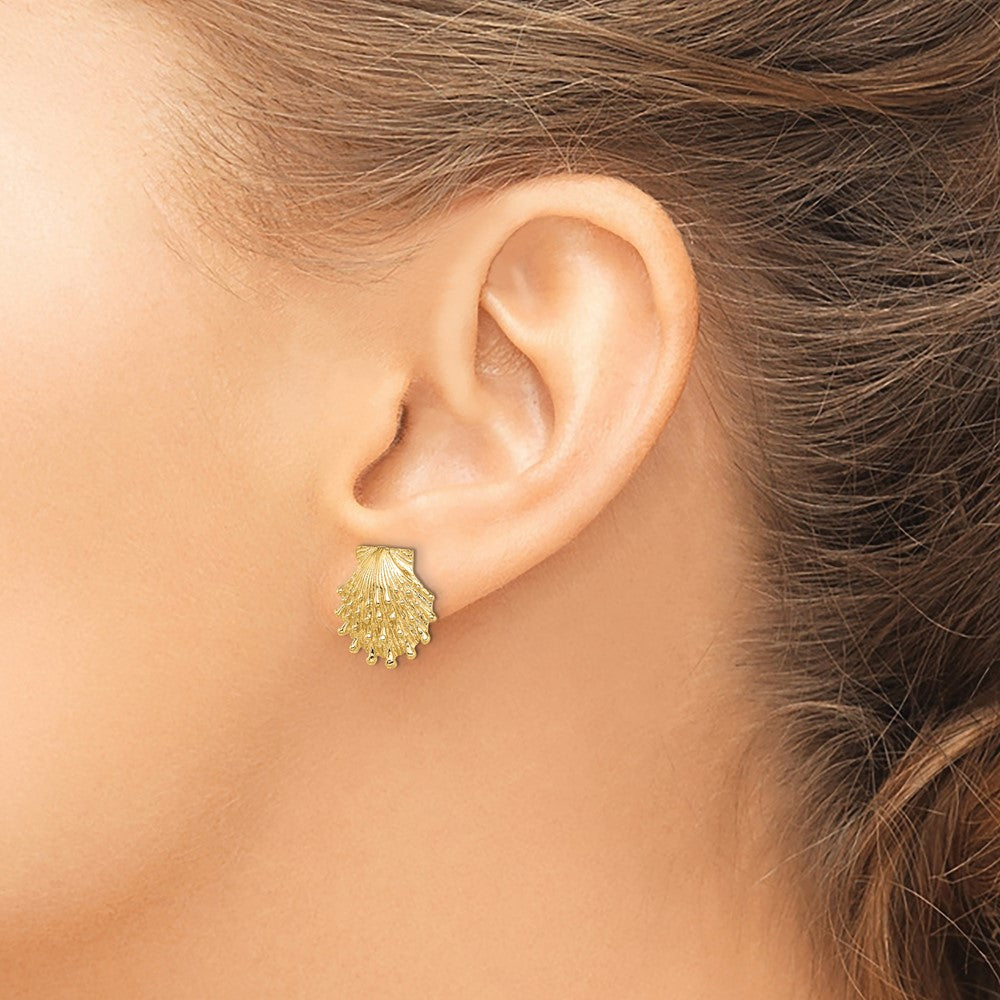 14k Yellow Gold 13.5 mm Lion's Paw Shell Post Earrings (3.57 grams)