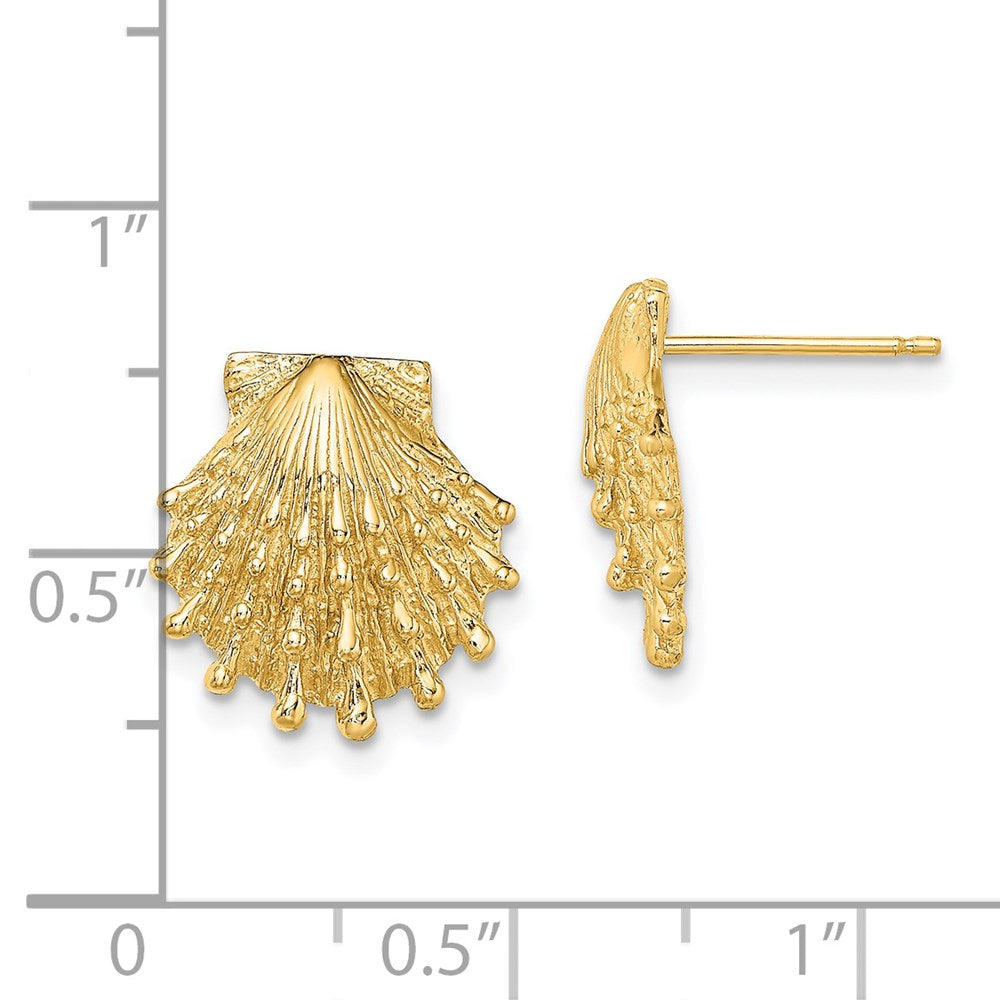 14k Yellow Gold 13.5 mm Lion's Paw Shell Post Earrings (3.57 grams)