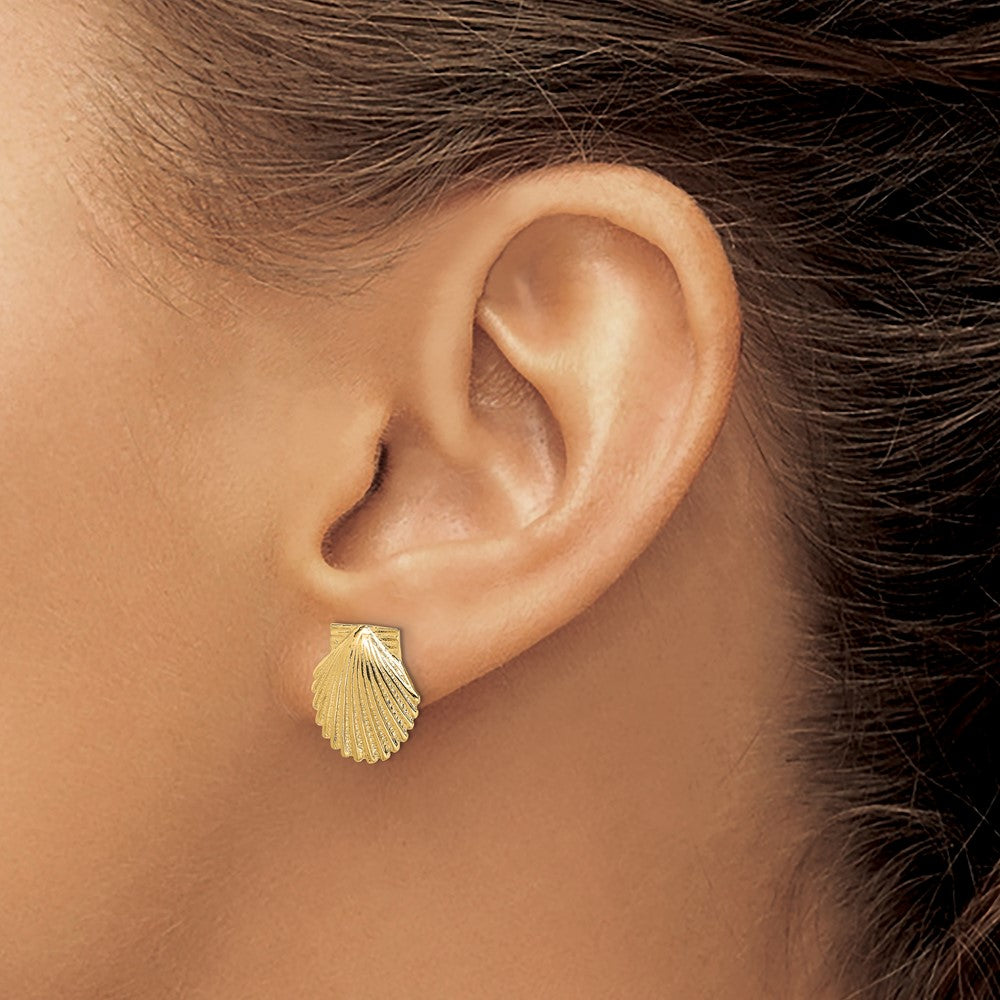 14k Yellow Gold 11.92 mm 2-D Polished Scallop Shell Post Earrings (2.85 grams)