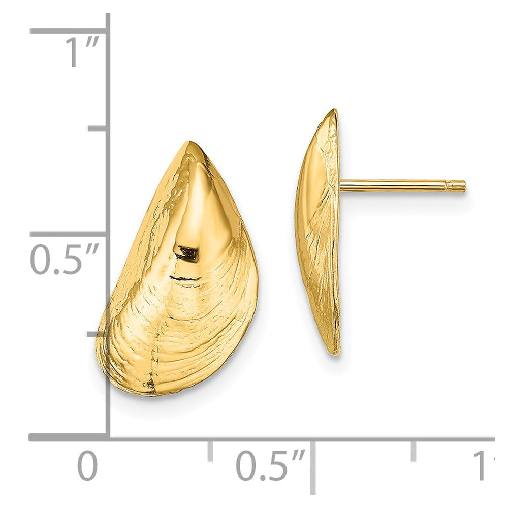 14k Yellow Gold 9.9 mm Mussel Shell Post Earrings (2.08 grams)