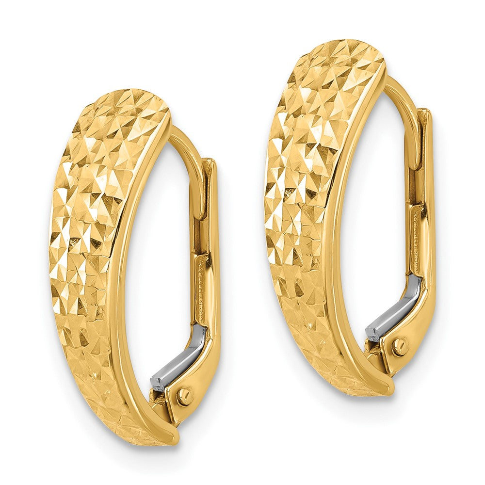 14k Yellow Gold 10.7 mm Polished and Diamond-cut Leverback Earrings (1.49 grams)