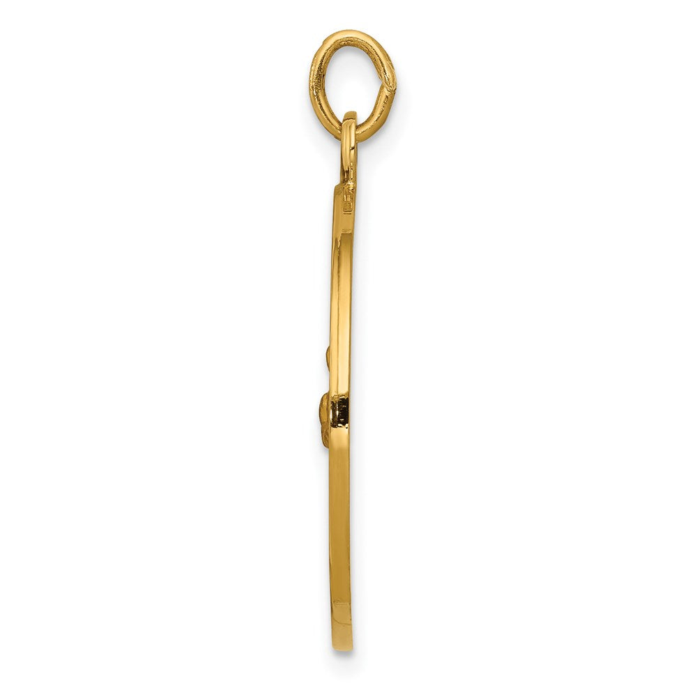 14k Yellow Gold 23 mm Saint Francis Medal Pendant (3.33 grams)