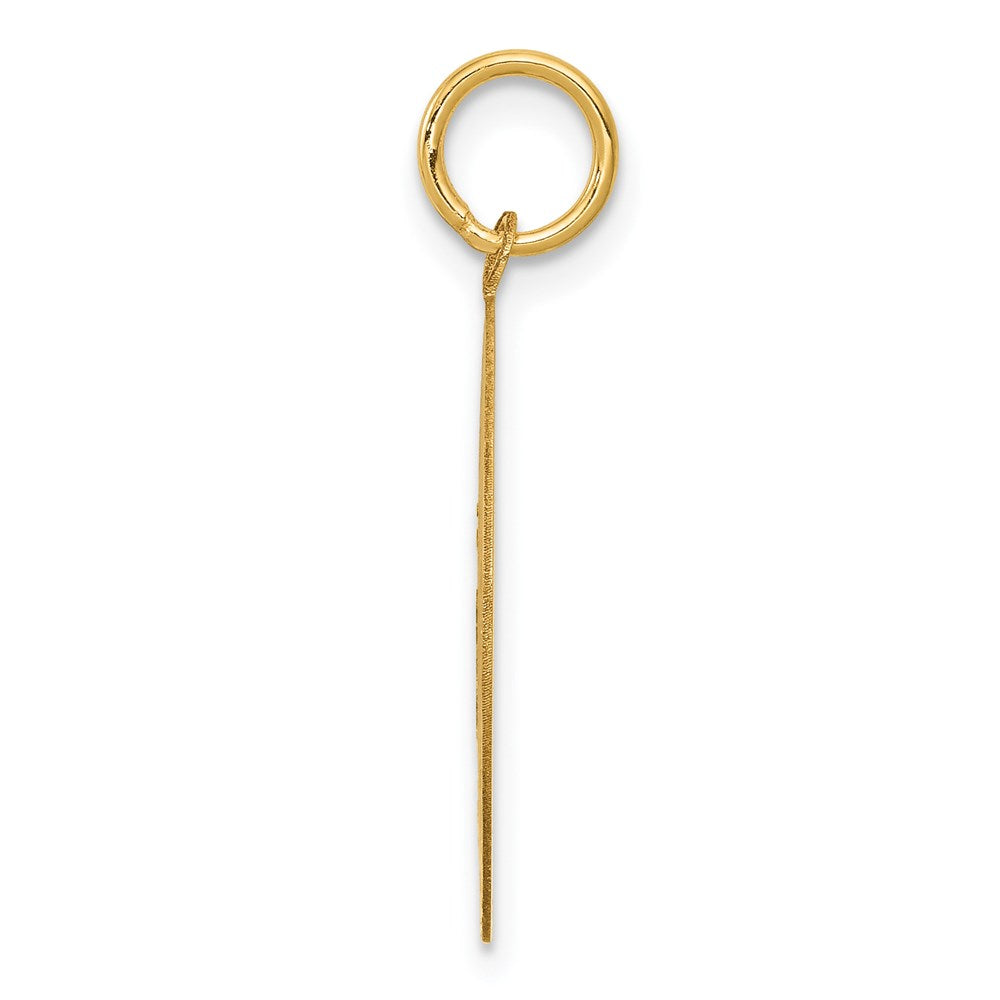 14k Yellow Gold 20 mm Beagle Disc Charm (1.07 grams)
