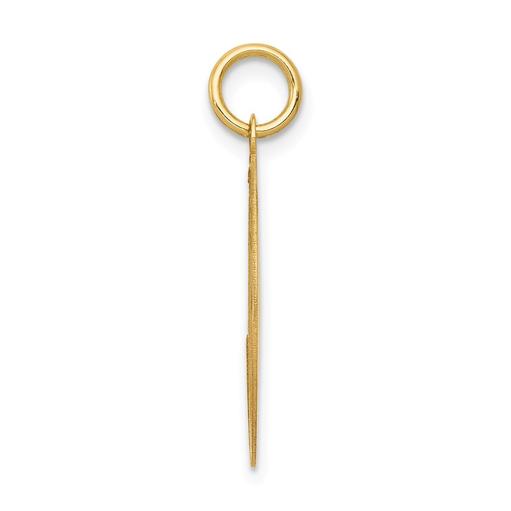 14k Yellow Gold 20 mm Labrador Retriever Disc Charm (1.05 grams)