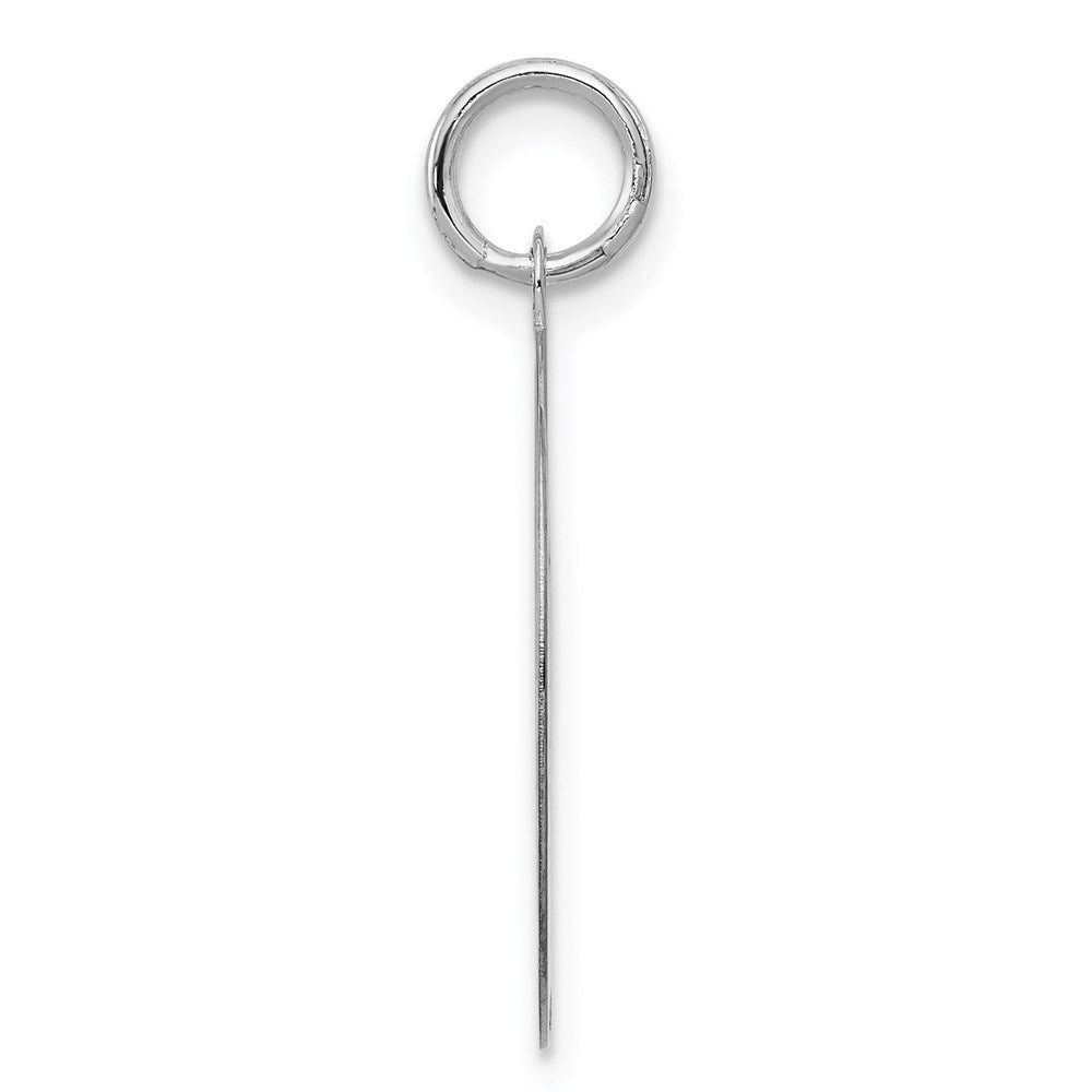 14k White Gold 20 mm Polished Engravable Golden Retriever Disc Charm (1.03 grams)