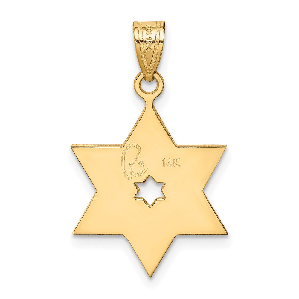 14k Two-tone 16 mm Two-Tone Star Of David Pendant