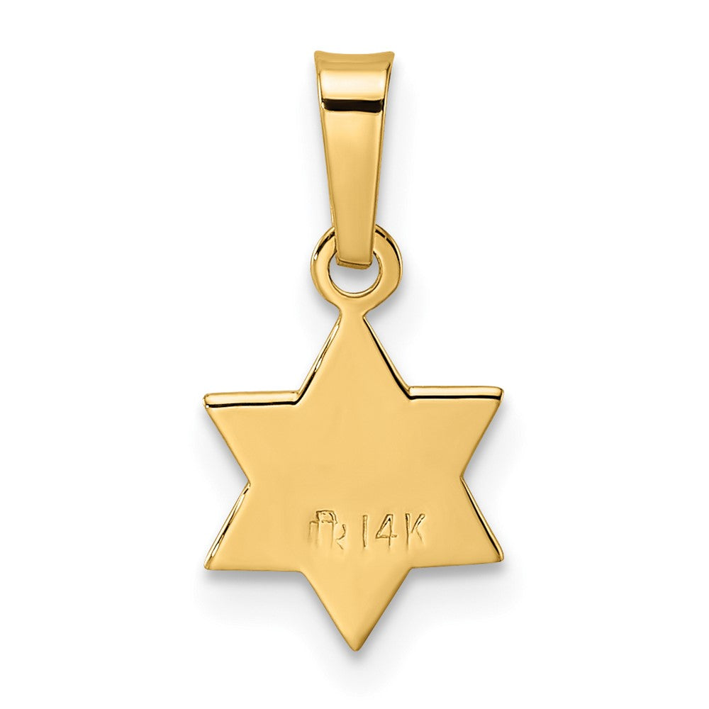 14k Yellow Gold 8.4 mm Polished & Textured Solid Star of David Pendant