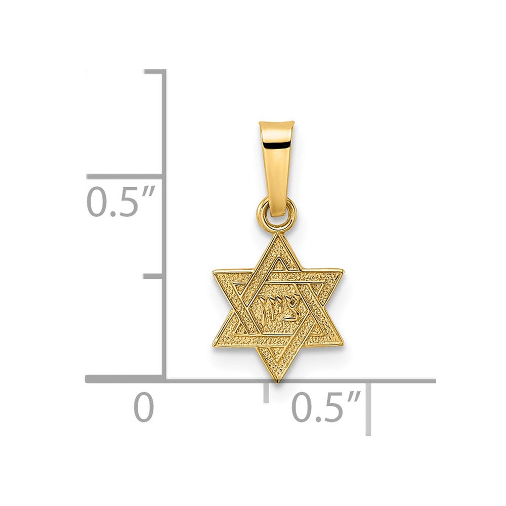 14k Yellow Gold 8.4 mm Polished & Textured Solid Star of David Pendant