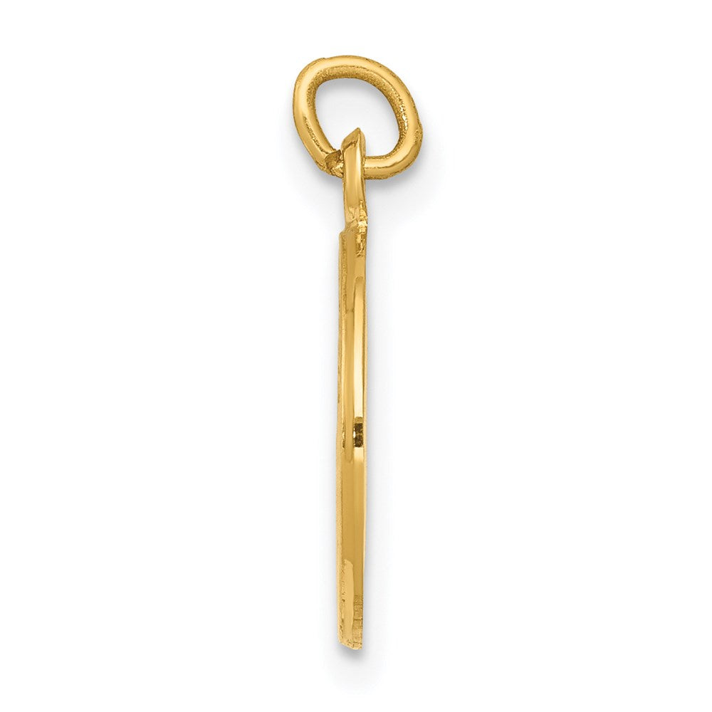 14k Yellow Gold 12 mm nion Medal Charm (0.71 grams)