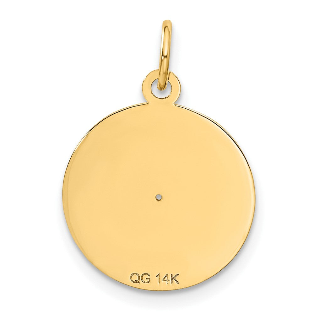 10k Yellow Gold 15 mm Record Album Charm (0.76 grams)