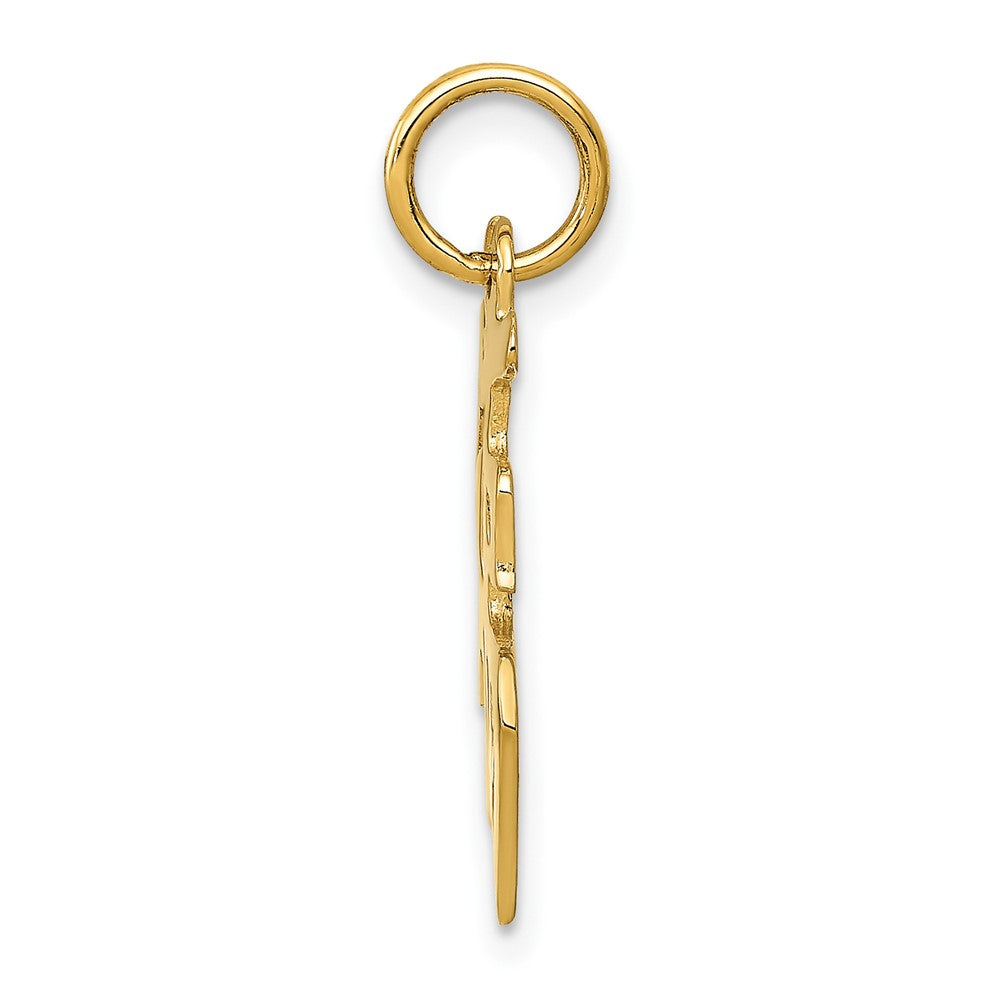 10k Yellow Gold 15 mm Good Luck Charm (0.72 grams)