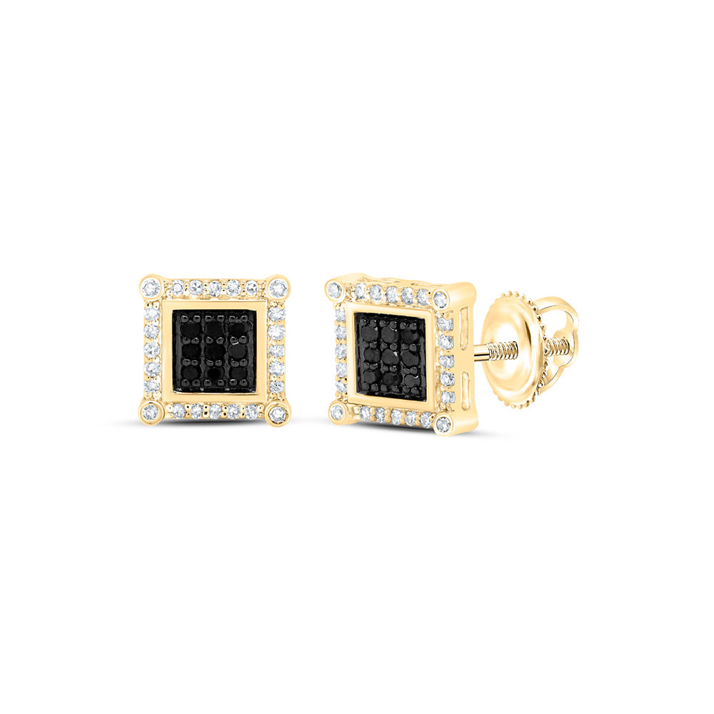 10kt Yellow Gold Round Black Color Enhanced Diamond Square Earrings 1/4 Cttw